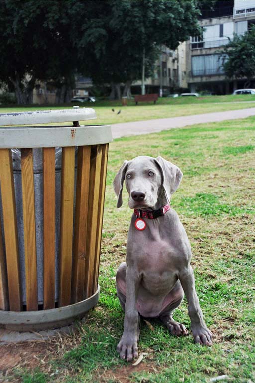 Checking her hight near to the garbage can