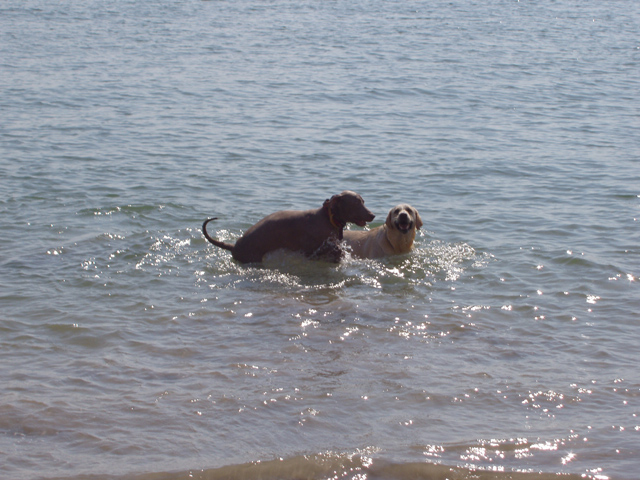 Rene&Sandy at the sea