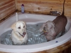Rene&Sandy in the bath